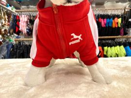 Hondentrui Rood/Wit Pomii €19,95