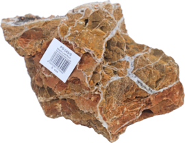 Terrarium Steen Maple Leaf Rock