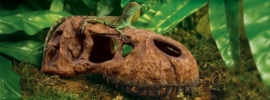 Exo Terra T-rex skull