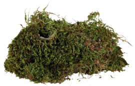 Trixie Terrarium Moss 200gr