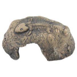 Schuilplaats Fossil Stone Bruin S 14x13x6 cm - Ceramic