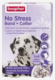 No Stress Band hond