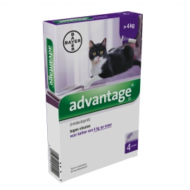 Advantage Kat 80 (katten boven 4kg) - 4pip