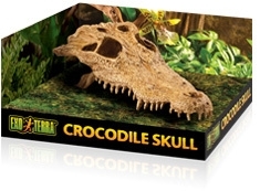 Exo Terra Crocodile Skull - 23 x 12 x 7,5 cm