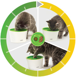 Catit Multi Feeder 3 in 1
