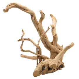 Driftwood Gepolijst Bruin Maat S