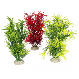 Plant Hydrilla L 27cm