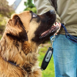 Dog-E-Walk - stopt trekken aan de riem