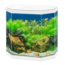 Ciano Aquarium 30 LED Wit - 40x20x45,5cm €89,-
