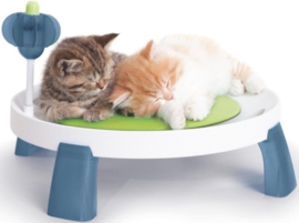 Cat-it Design Senses Comfort Zone