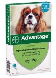 Advantage Hond 100 - 4 tot 10 kg - 4pip