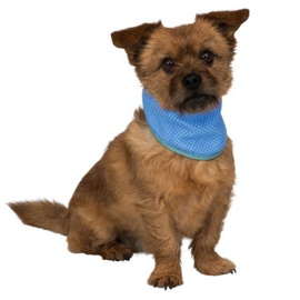 Koelband / Koel-Bandana Hond Large (38-52cm)