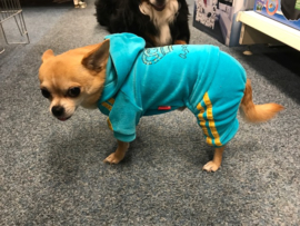Traningspak Hond Blauw €15,-
