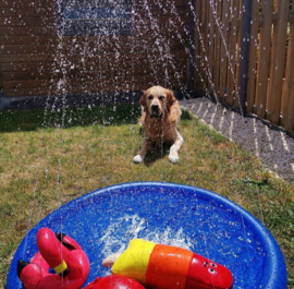 Beeztees Sprinkler Mat Stay Cool - Hondenmat - Blauw - 100 cm