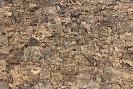 Luxe Kurk Achterwand Front bark 90 x 60cm €59,95