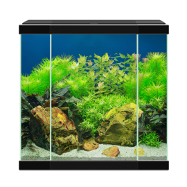 Ciano Aquarium 30 LED Zwart - 40x20x45,5cm €89,-