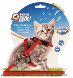 Kitten Wandelset Nylon Uni Rood 15-25cm / 8mm-125cm