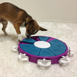 Nina Ottosson Hondenspel Dog Twister