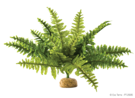 Exo Terra Boston Fern - Medium - 9x5x29cm