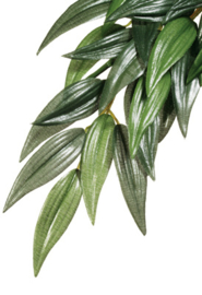 Exo Terra Jungle Plant Ruscus Silk - Large - 50cm
