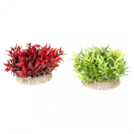 Plant Miracle Moss 7,5cm