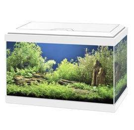 Ciano Aquarium 20 LED Wit - 40x20x24,8cm €69,-