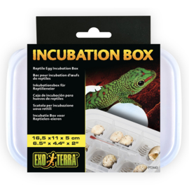 Exo Terra Incubatie Box voor Reptielen Eieren