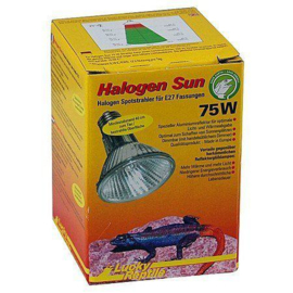 Lucky Reptile Halogen Sun 75w