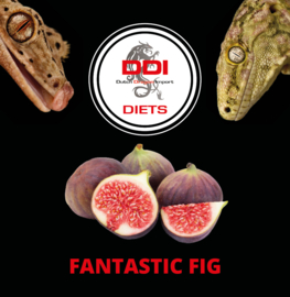 DDI Diets Gekko Fantastic Fig 60gr