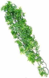 Zoomed Natural Bush - Cannabis - Small - 36cm