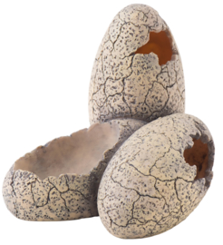 Exo Terra Dinosaur Eggs