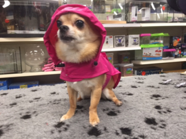 Regenjas roze vanaf €15,95