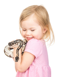 Kinderfeestjes / Informatiemiddag 