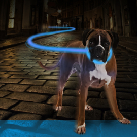 Hondenhalsband Flash Ring Licht USB - Silicone - Blauw - 70cm