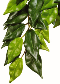 Exo Terra Jungle Plant Ficus Silk - Large - 50cm