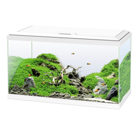 Ciano Aquarium 60 LED Wit - 60x30x41cm €129,-