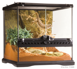 Exo Terra Terrarium incl. achterwand 30x30x30cm