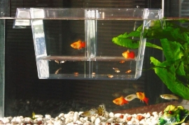 Aquarium Accessoires