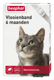 Vlooienband Kat Wit 1st