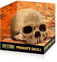 Exo Terra Primate Skull - 17 x 13,5 x 11,5cm