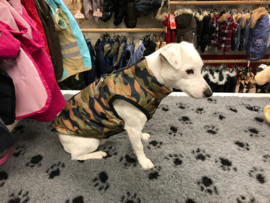 Bodywarmer met rits €14,95