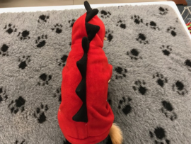 Trui Dinosaurus €12,50