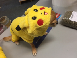 Huispak 'Pikachu' vanaf €12,50