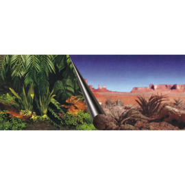 Poster Achterwand Jungle & Dessert 30 x 60cm