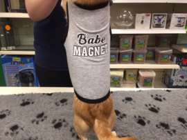 Shirt 'Babe Magnet' vanaf €4,95