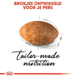 Royal Canin Persian Adult - 2kg