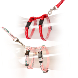 Kitten wandelset love Rood/roze 15-25cm / 8mm-125cm