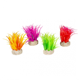 Plant Hair Grass S 6cm