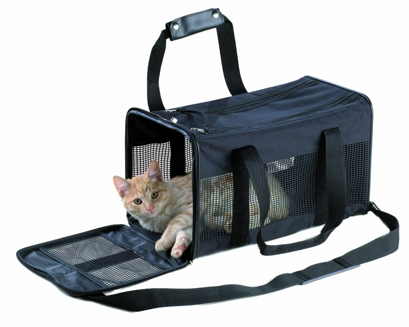 fictie Onderzoek Kneden Transport kat | welle