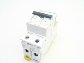 Schneider Electric iC60N D 25A